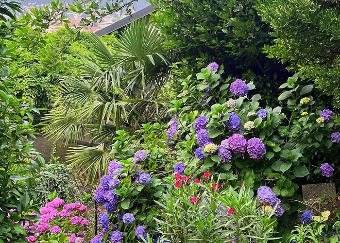 Bed and breakfast Il Sogno