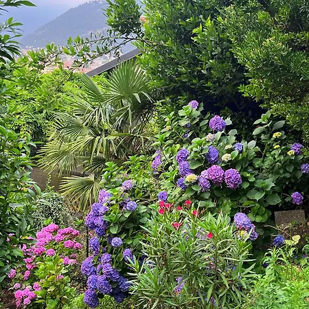 Bed and breakfast Il Sogno