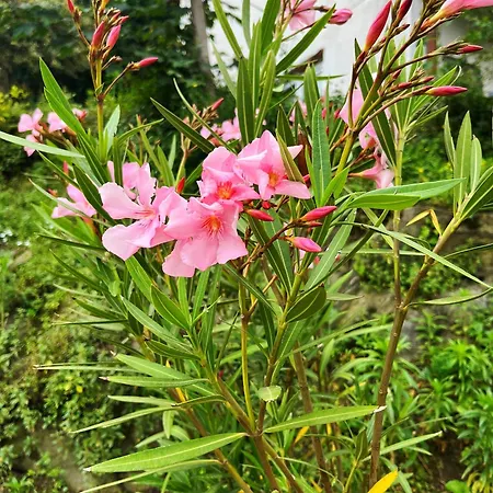 Il Sogno 住宿加早餐酒店