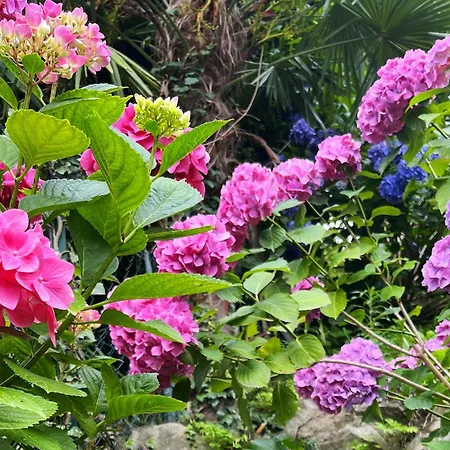 Frühstückspension Il Sogno *